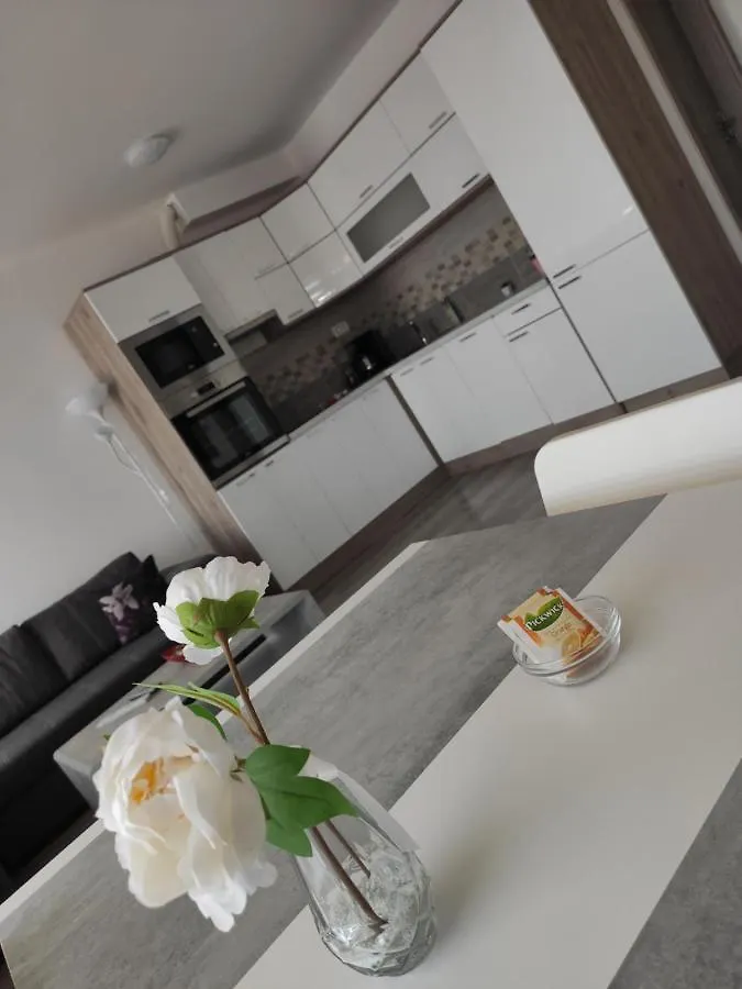 Bajcsy Apartment Debrecen